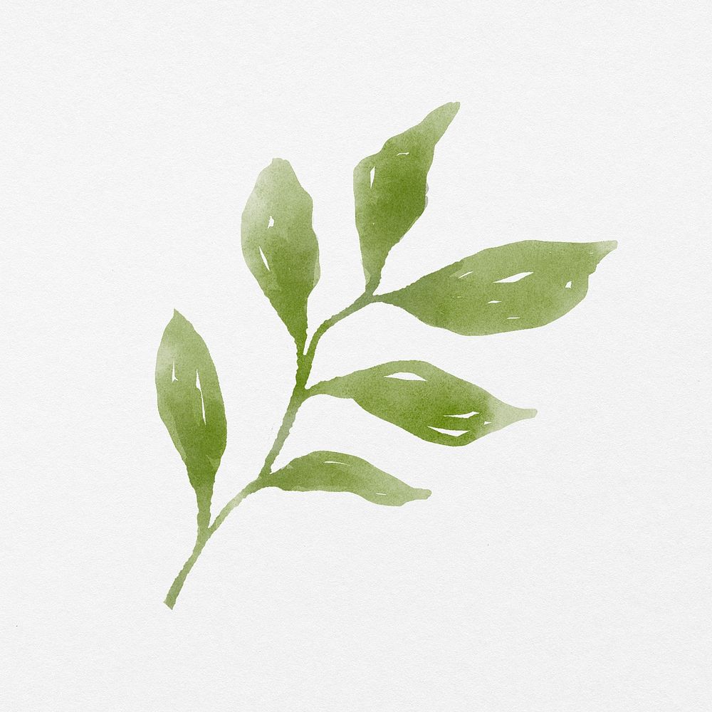 Green leaf collage element, botanical watercolor illustration psd