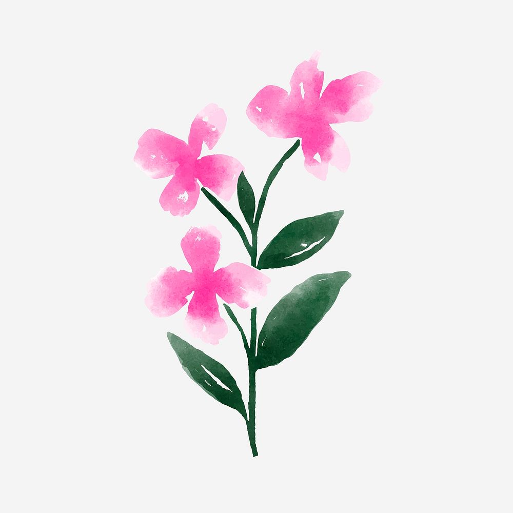 Cute pink flower collage element, watercolor illustration vector