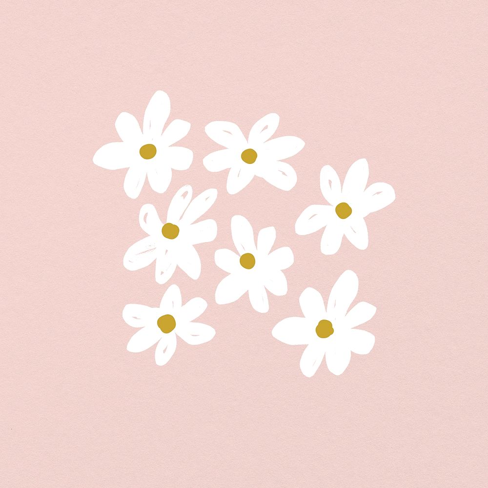 Daisy flowers, watercolor hand painted design