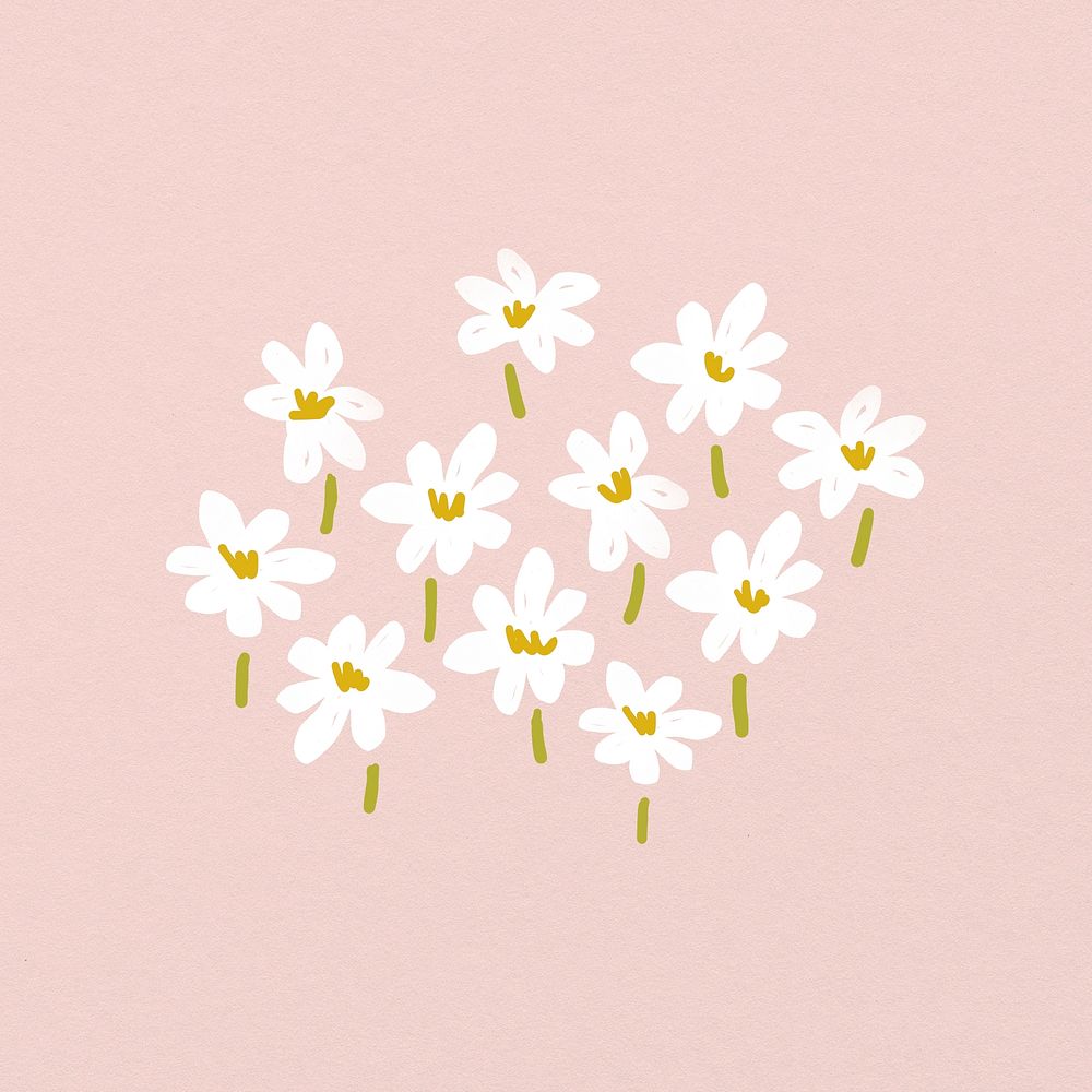 Daisy flowers, watercolor hand painted design