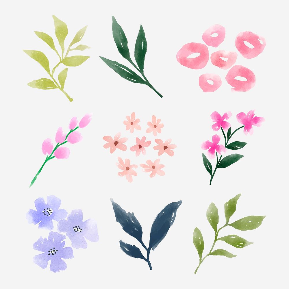 Watercolor botanical collage element set vector