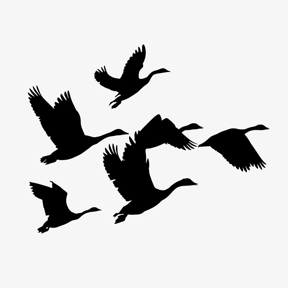Flying birds silhouette clipart, animal illustration