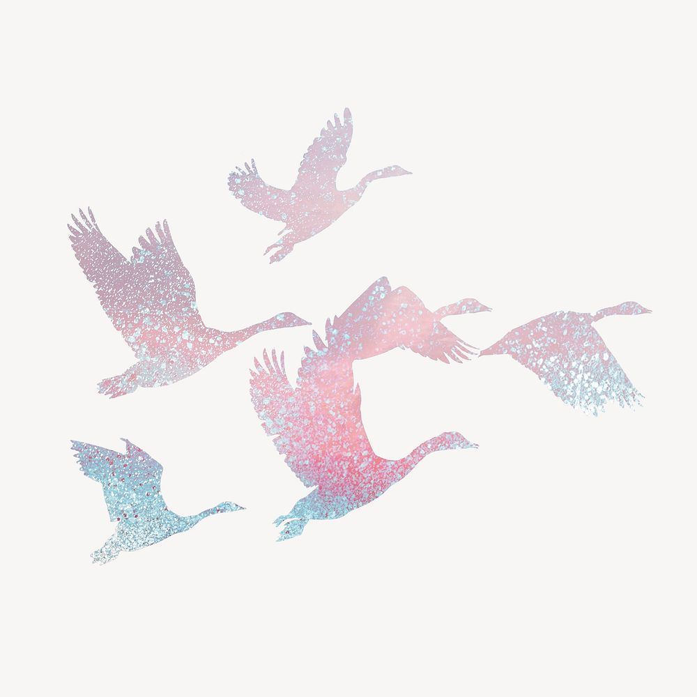 Aesthetic flying birds silhouette clipart, animal illustration