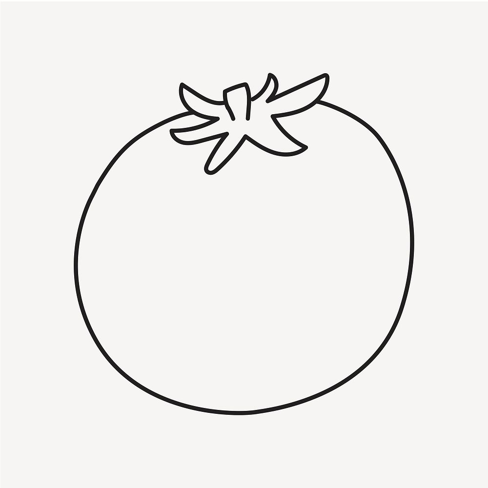 Tomato doodle drawing, vegetable line art illustration