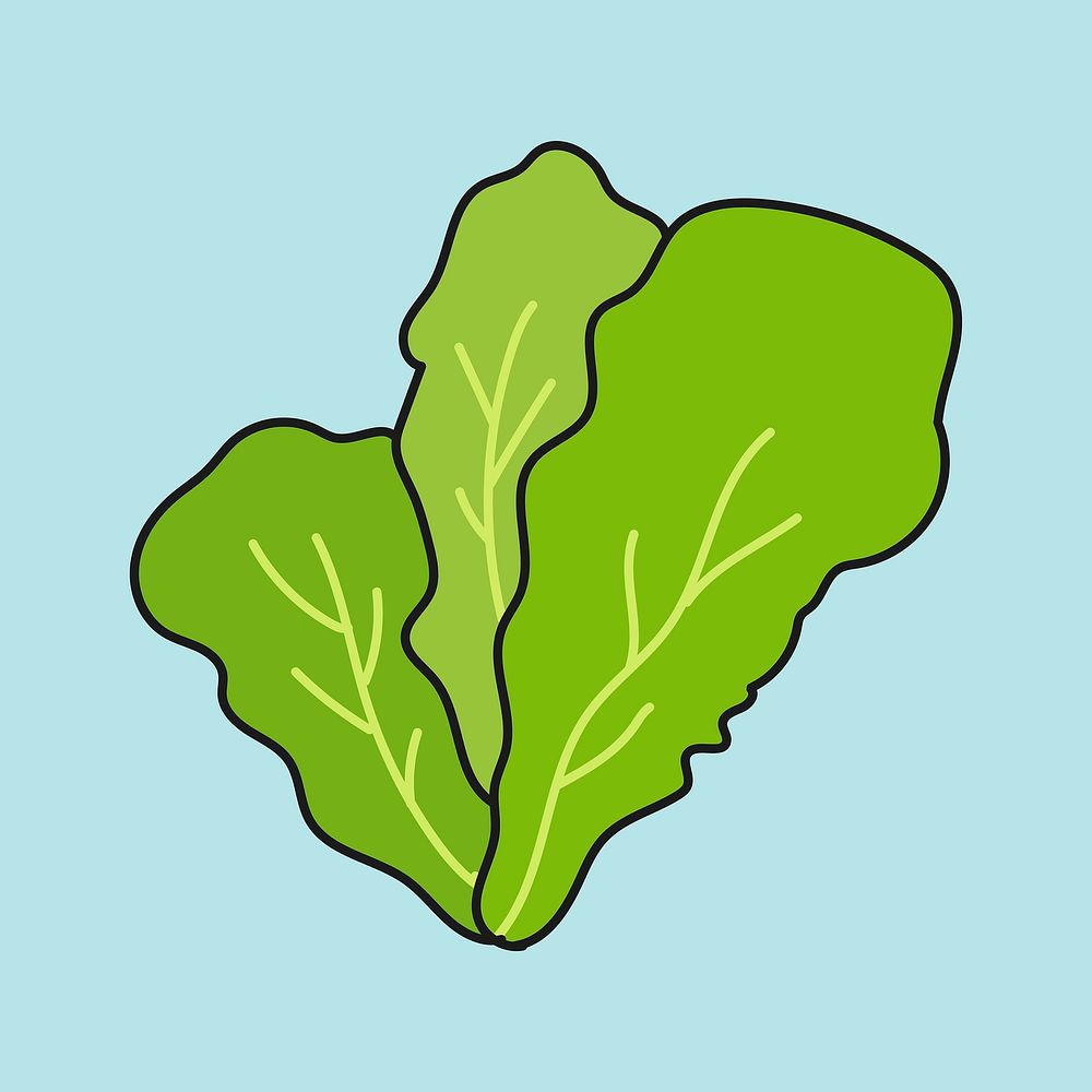Lettuce clipart, vegetable cute doodle vector