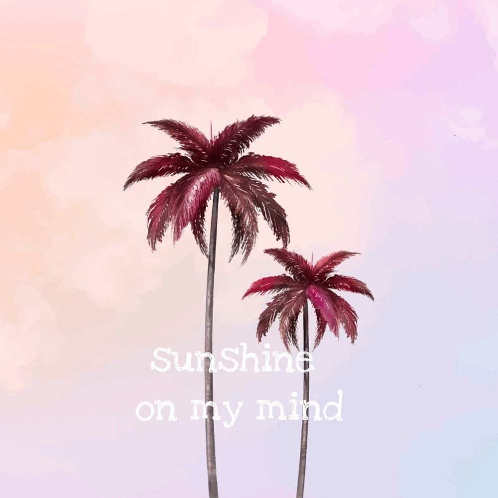 Aesthetic palm tree psd template for social media post