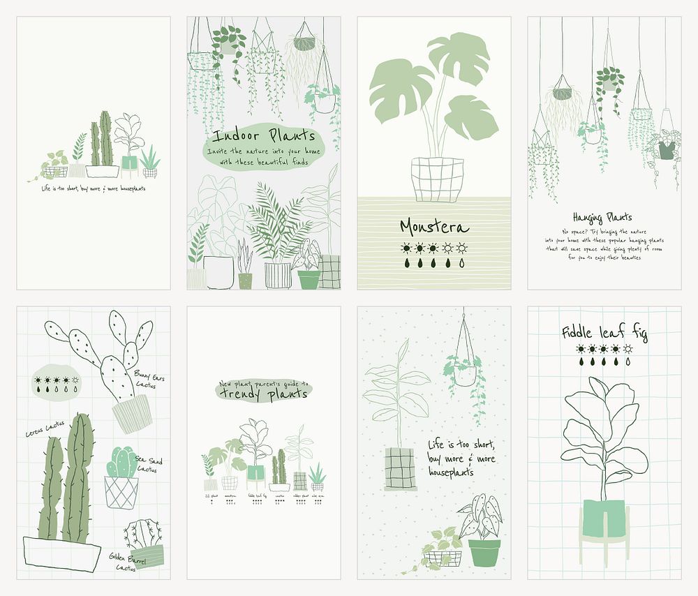 Houseplant botanical template psd set for social media story
