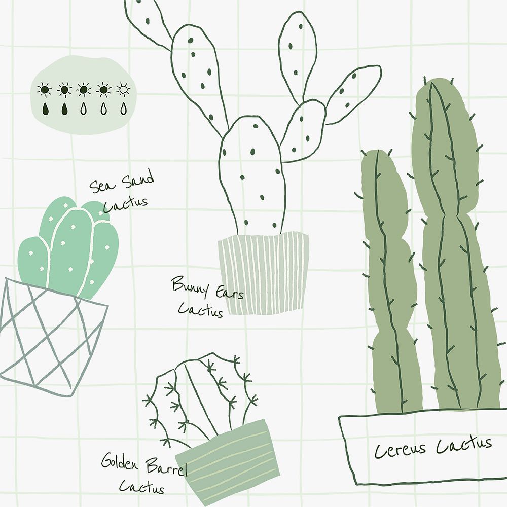 Cactus plant watering chart template psd