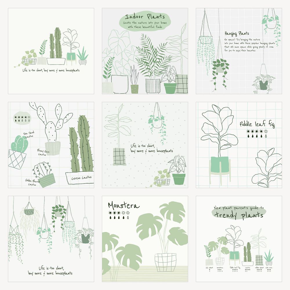 Houseplant botanical template psd set for social media