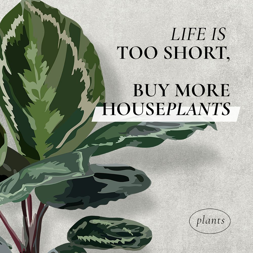 Leaf social media template psd, plant sale advertisement