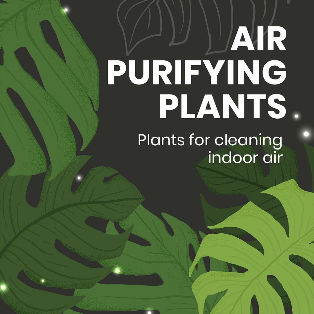 Social media plant template psd with air purifying plants text