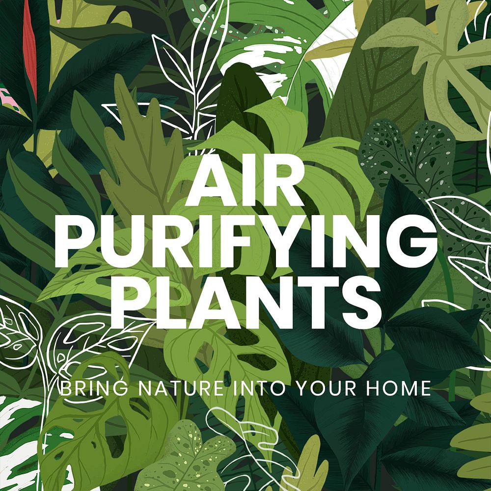 Houseplant social media template psd with air purifying plants text