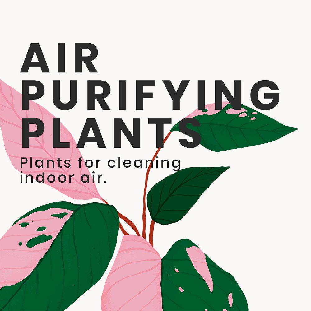 Houseplant social media template psd with air purifying plants text