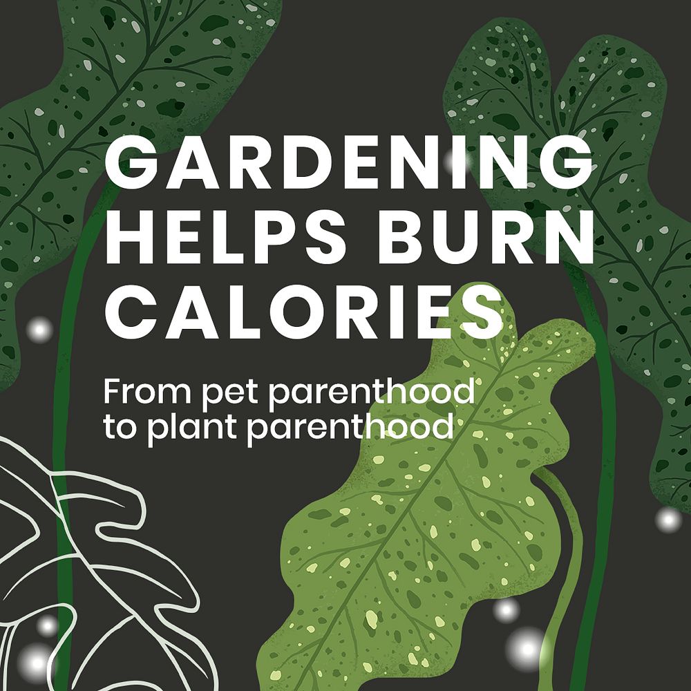 Houseplant social media template psd with gardening helps burn calories text