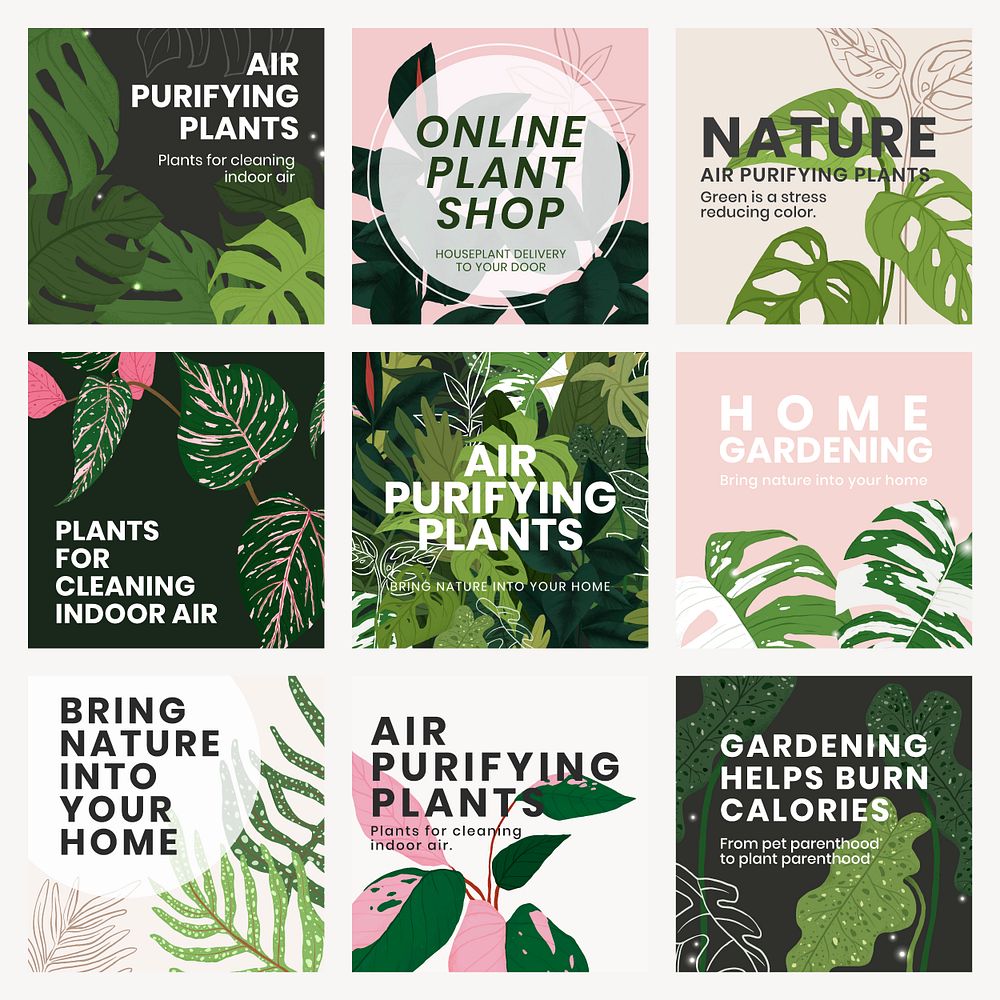 Houseplant social media template psd set