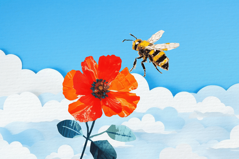 Bee on flower, nature,  editable  paper craft collage