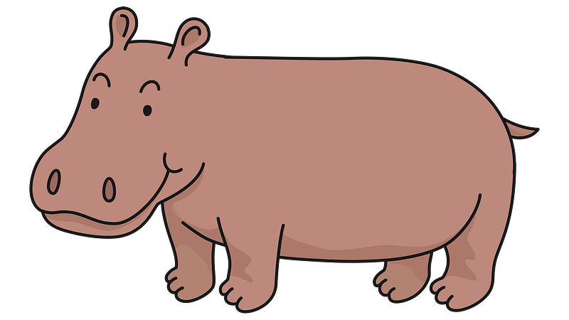 Hippo png images