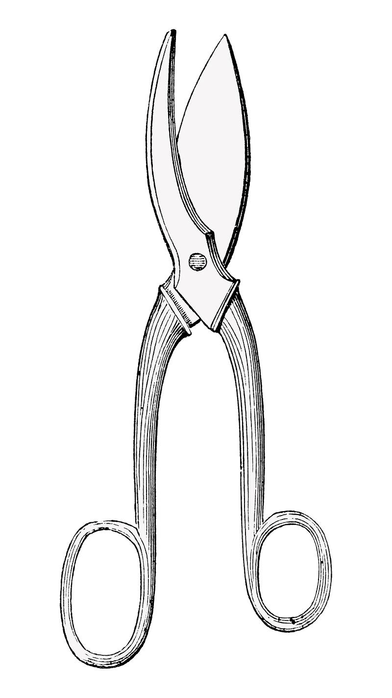 Scissors illustration, drawing, engraving, ink, line art, vector