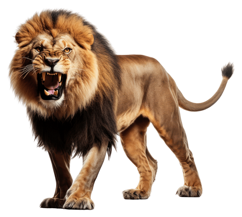 Premium AI Image  The male lion roars AI Generated