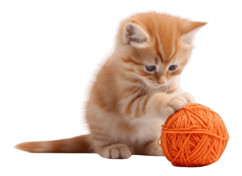 Yarn Ball Images  Free Photos, PNG Stickers, Wallpapers & Backgrounds -  rawpixel