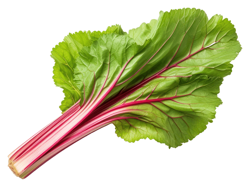 rhubarb vegetable multicolored paints rhubarb red yellow png download -  4096*4096 - Free Transparent Rhubarb png Download. - CleanPNG / KissPNG