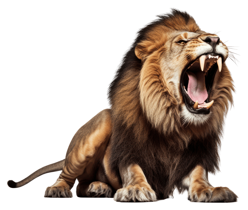 Premium AI Image  The male lion roars AI Generated