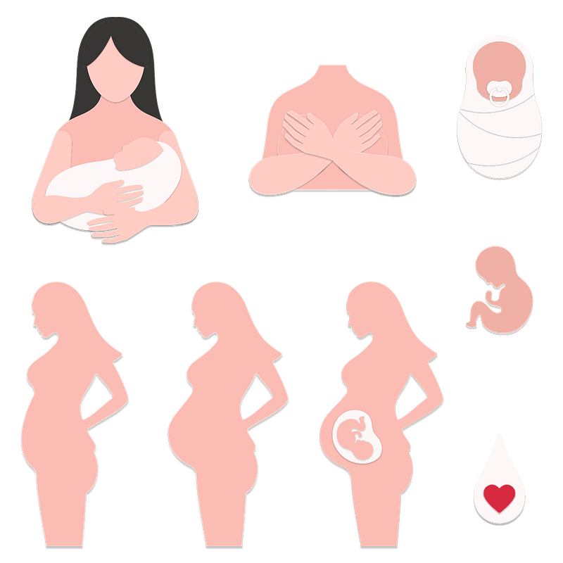 Pregnancy T Shirt Design PNG, Vector, PSD, and Clipart With