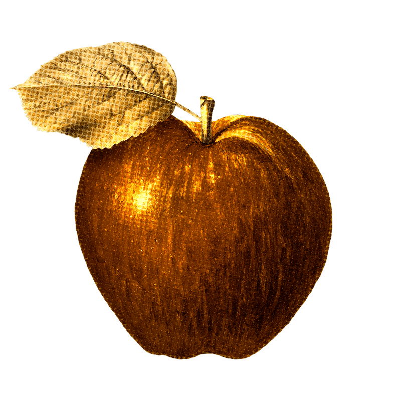 Gold Apple PNG Images  Free Photos, PNG Stickers, Wallpapers