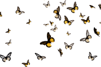 PNG Butterflies flying animal insect. AI generated Image by rawpixel.